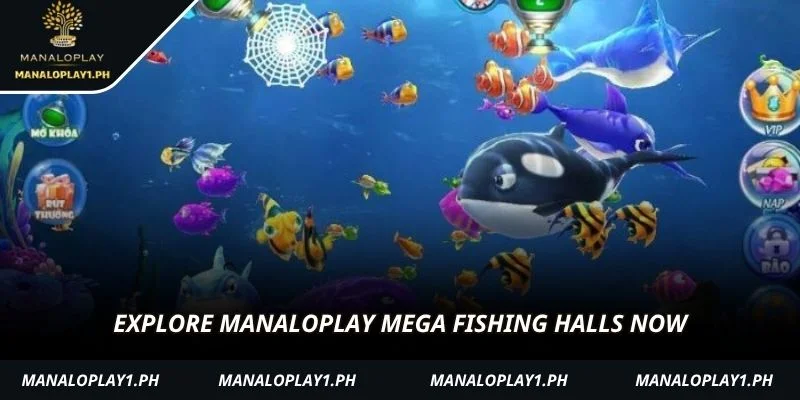 Explore manaloplay Mega fishing halls now