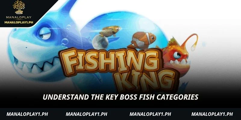Understand the key boss fish categories