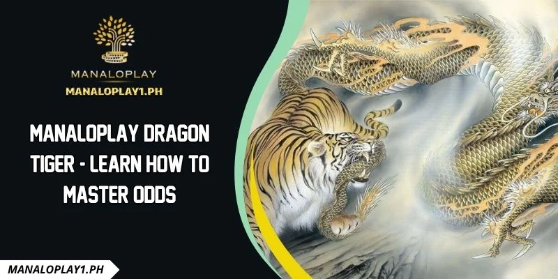 Manaloplay Dragon tiger - Learn How To Master Odds