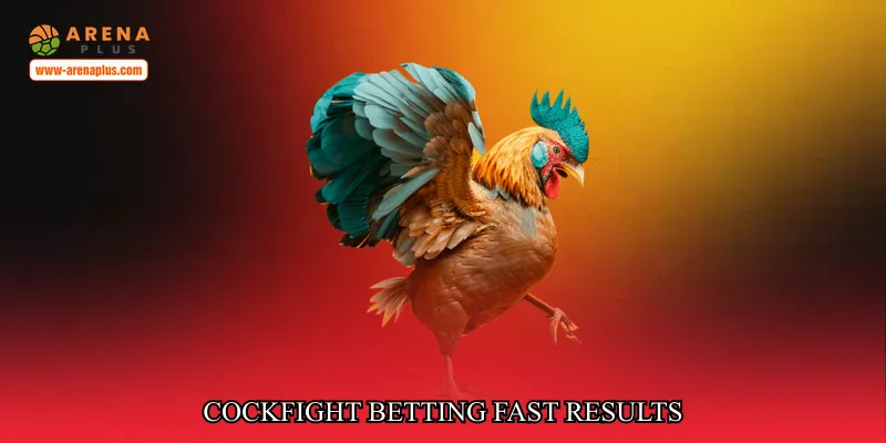 cockfight betting fast results