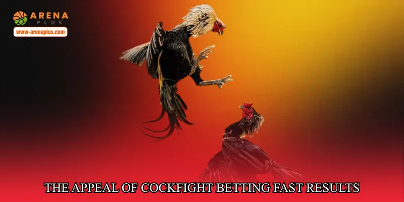 The Appeal of Cockfight Betting Fast Results