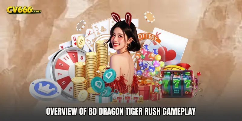 Overview of BD Dragon Tiger Rush Gameplay