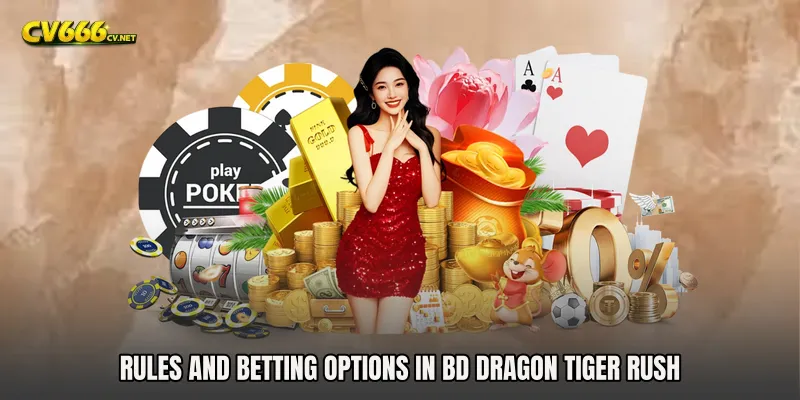 Rules and Betting Options in BD Dragon Tiger Rush